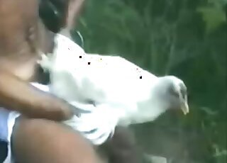 Outdoor animal porn