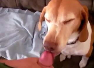 Sex Animal XXX Porn Movies