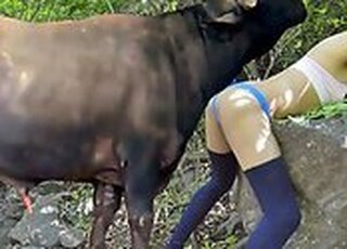 Sex With Aanimals Videos