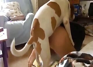 Woman animal sex