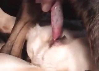 Zoo Porn Tube