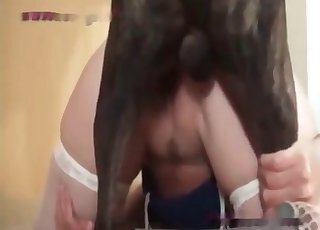 Zoo Porn Zoo