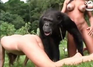 Zoo Sex Porn Pet